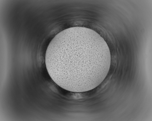 X0000086890091200705141631