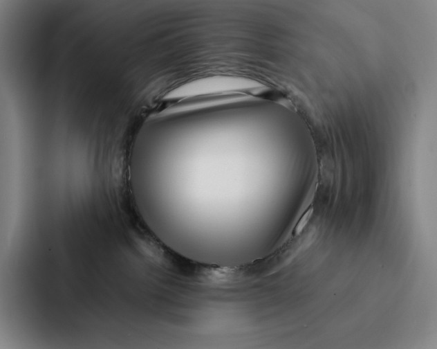 X0000086890092200705141631