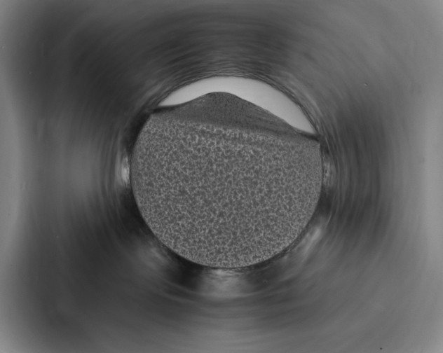 X0000086890095200705141631