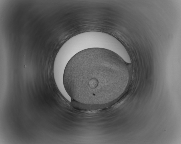 X0000086890096200705141631