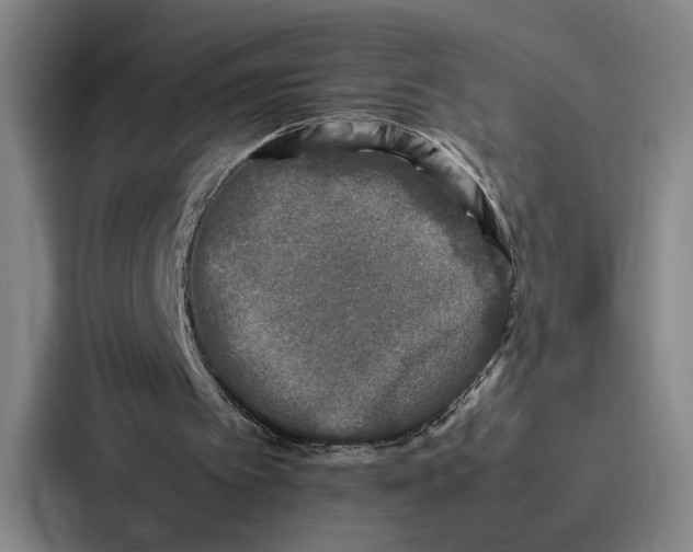 X0000086890097200705141630