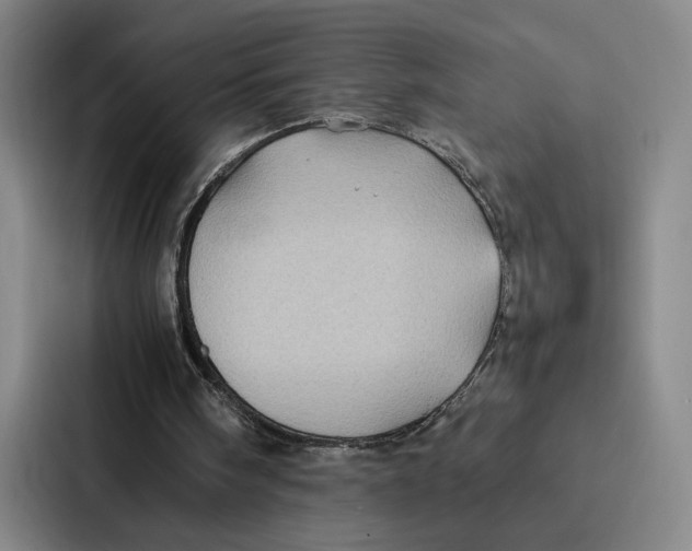 X0000086890098200705141630