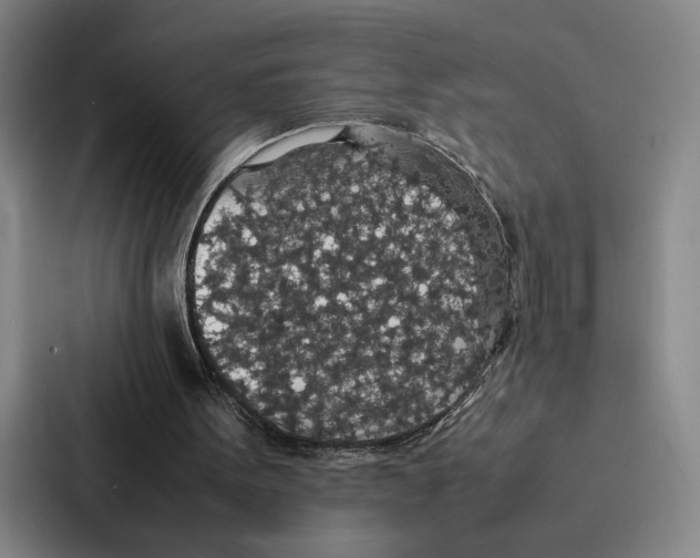 X0000086890099200705141630