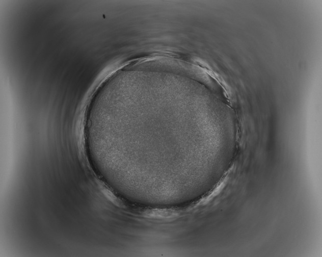 X0000086890101200705141630