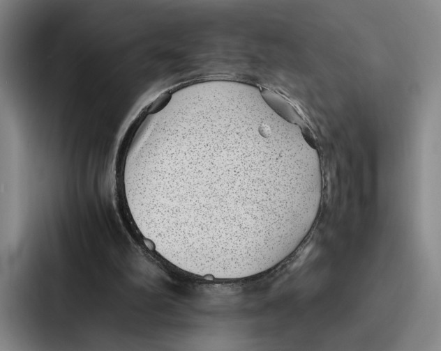 X0000086890102200705141630