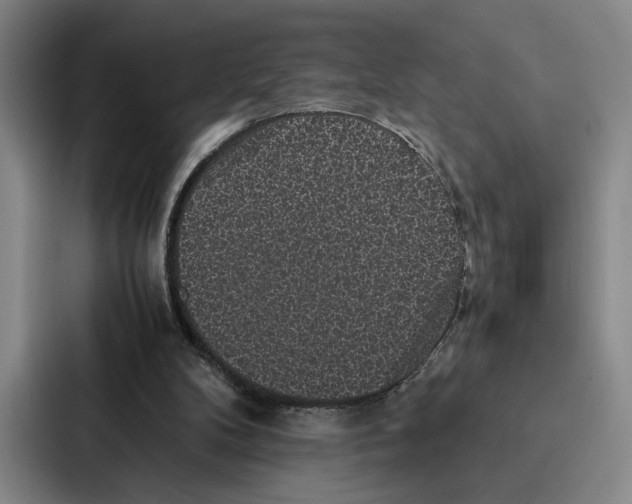 X0000086890104200705141630