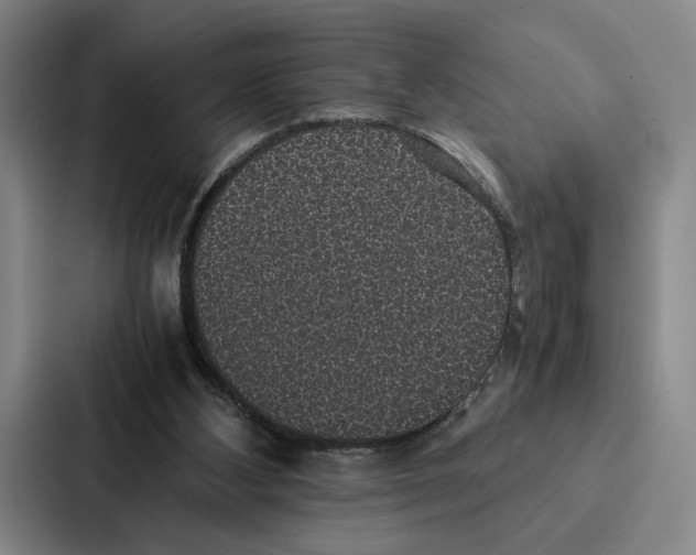 X0000086890108200705141630