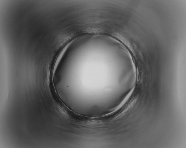 X0000086890109200705141630