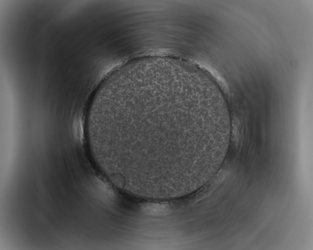 X0000086890110200705141630