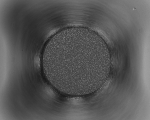 X0000086890112200705141630