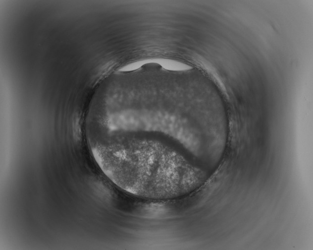 X0000086890114200705141630