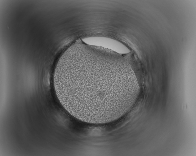 X0000086890115200705141630