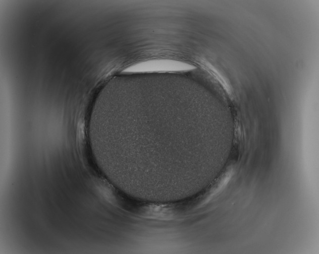 X0000086890117200705141630