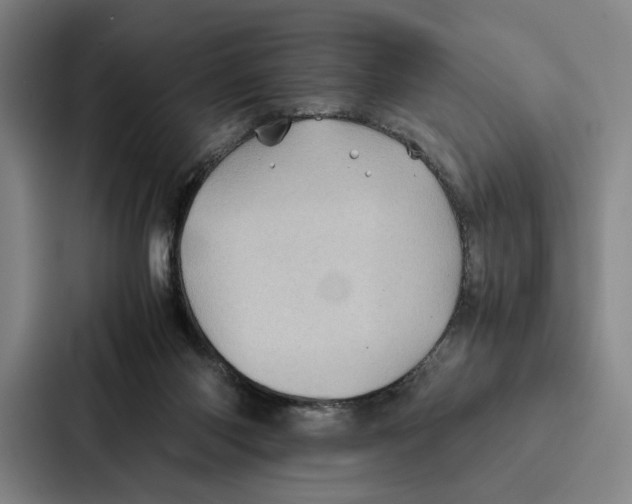 X0000086890118200705141630