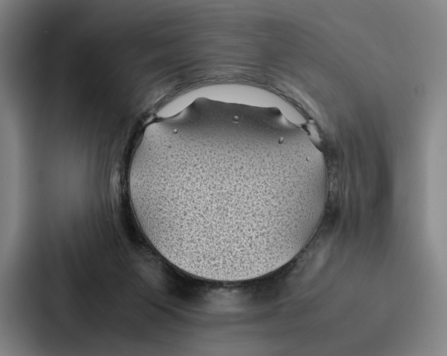 X0000086890119200705141630