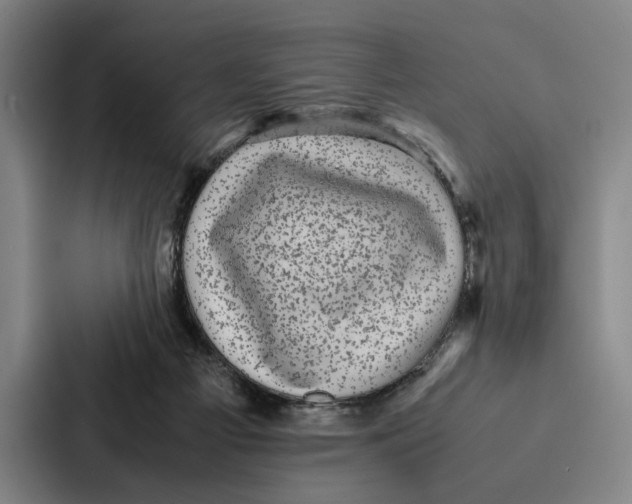 X0000086890121200705141630