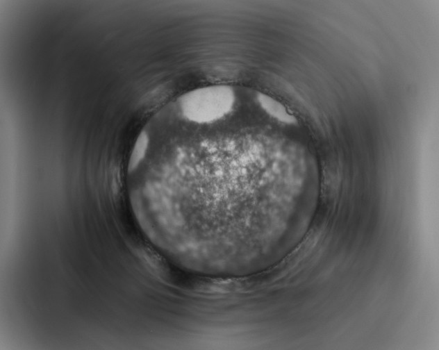 X0000086890130200705141630