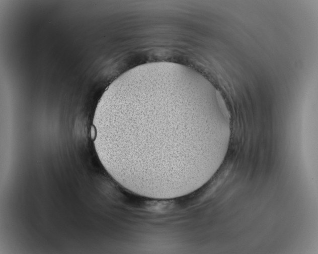 X0000086890135200705141630