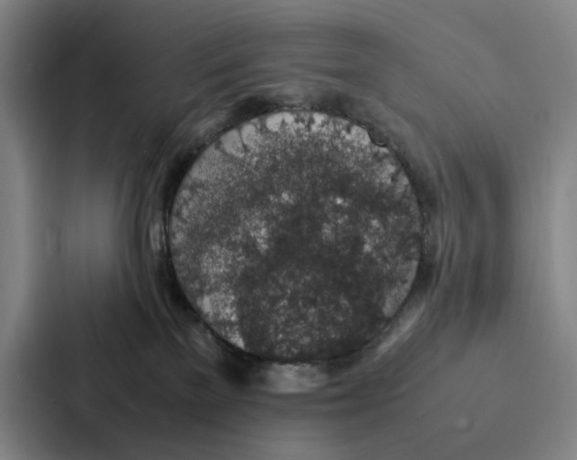 X0000086890137200705141630