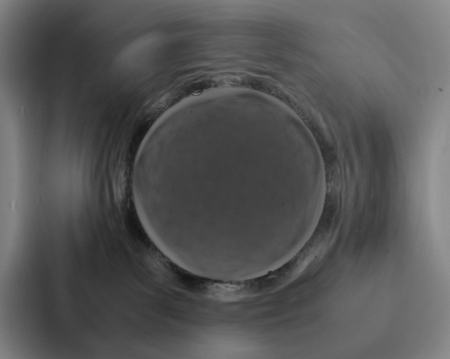 X0000086890139200705141630