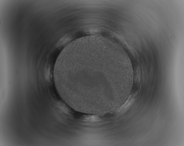 X0000086890140200705141630