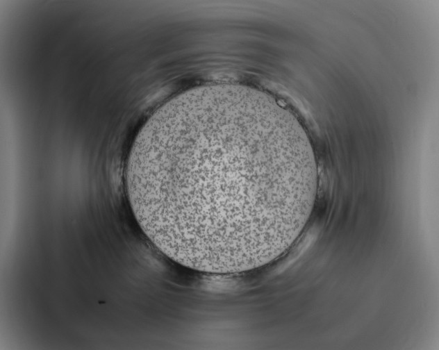 X0000086890141200705141630