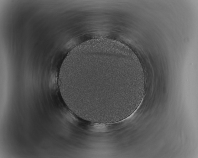 X0000086890144200705141630