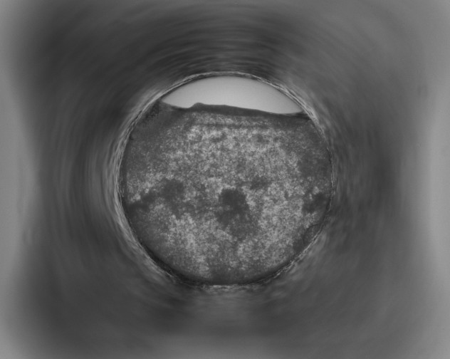 X0000086890145200705141629