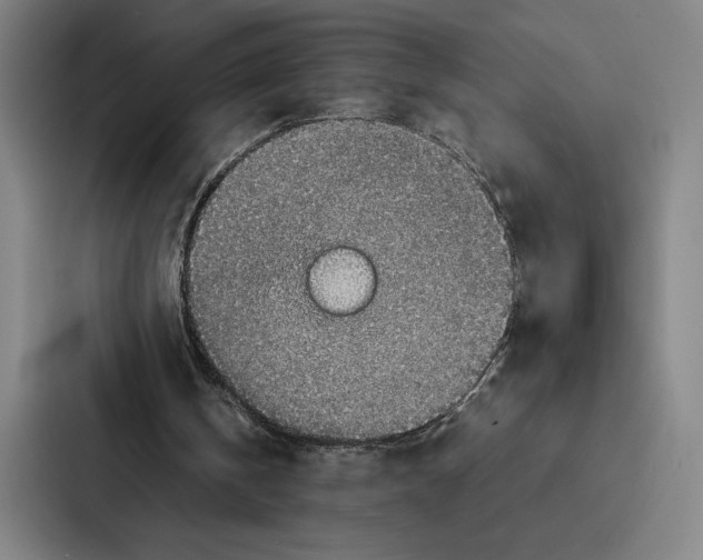 X0000086890146200705141629