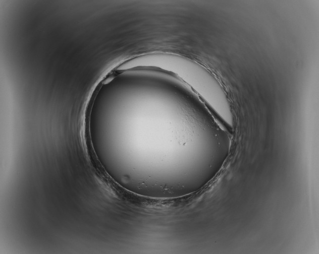 X0000086890148200705141629