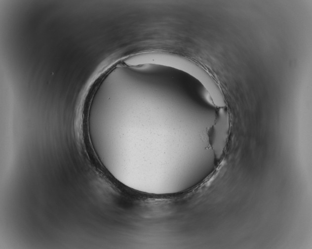 X0000086890150200705141629