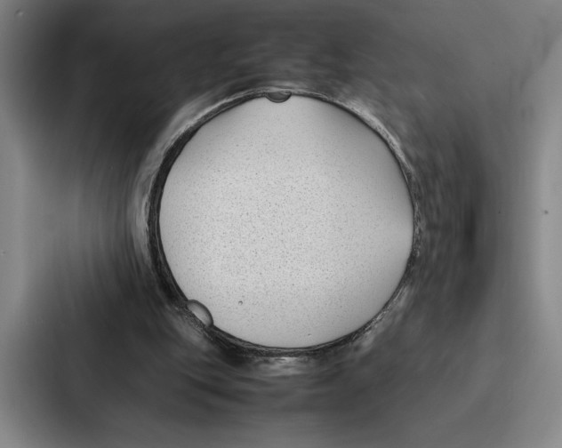 X0000086890151200705141629