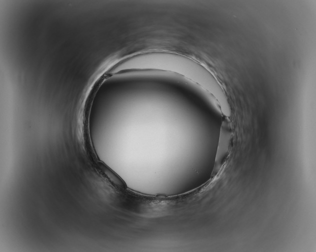 X0000086890152200705141629