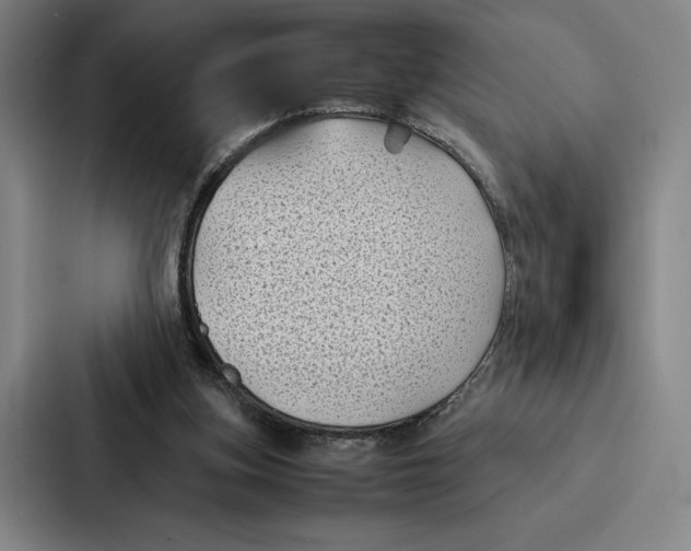 X0000086890155200705141629