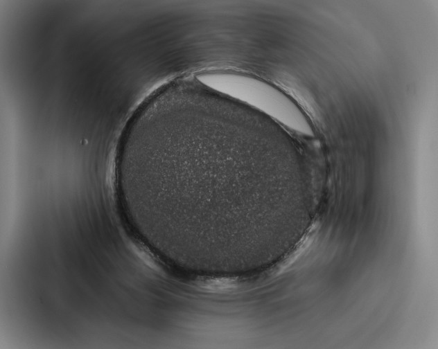 X0000086890156200705141629