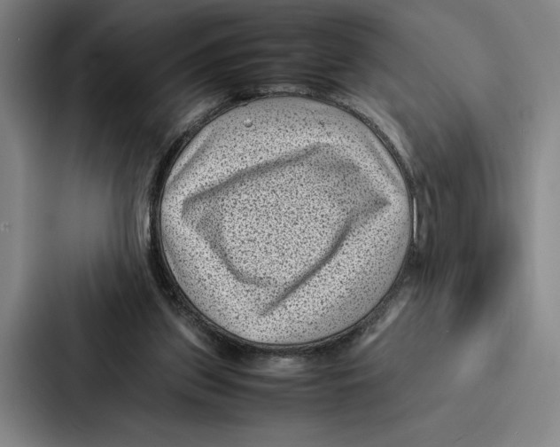 X0000086890157200705141629