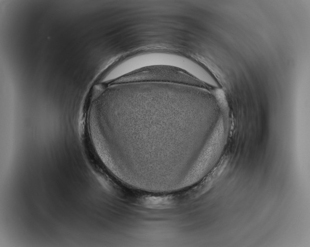 X0000086890160200705141629