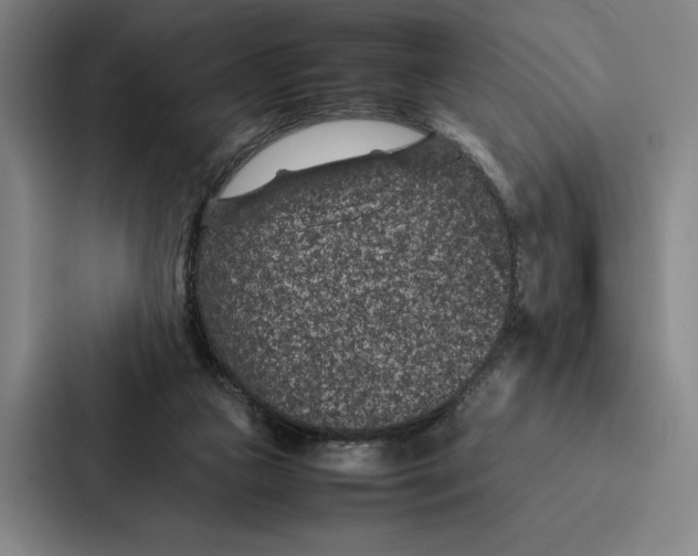 X0000086890161200705141629