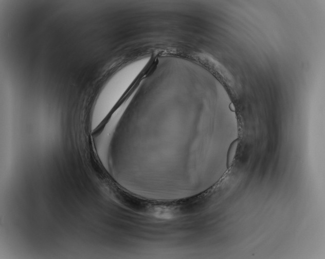 X0000086890163200705141629