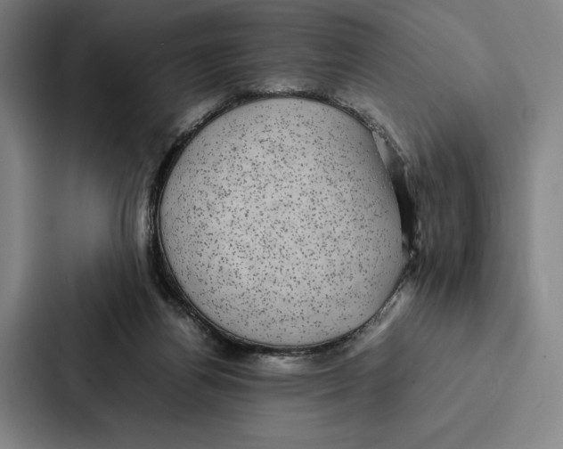 X0000086890164200705141629