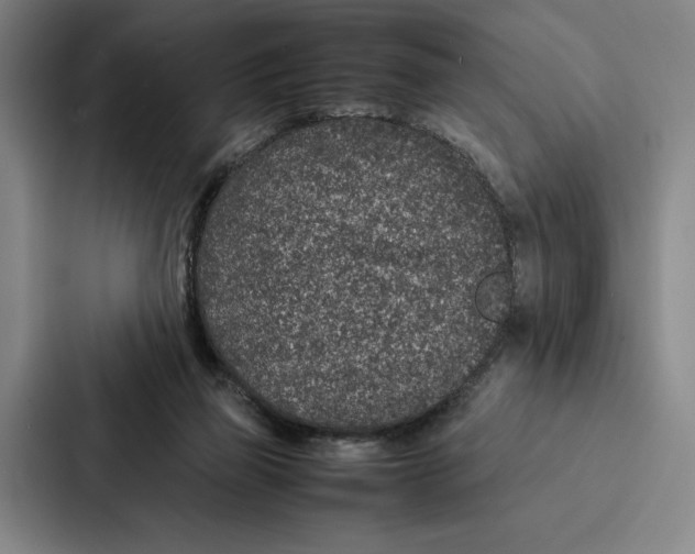 X0000086890165200705141630