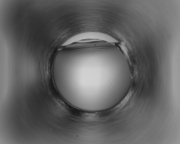 X0000086890170200705141630