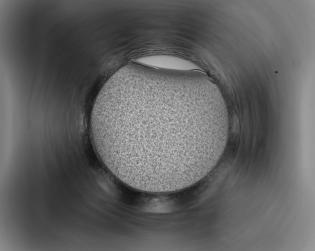 X0000086890173200705141630