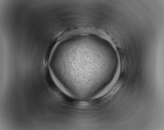 X0000086890176200705141630