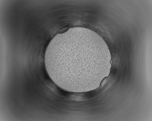 X0000086890179200705141630