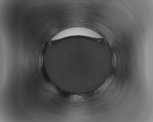 X0000086890180200705141630