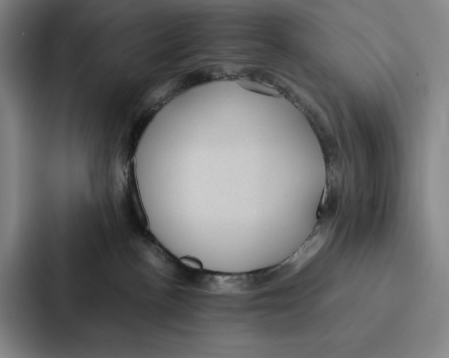 X0000086890188200705141630