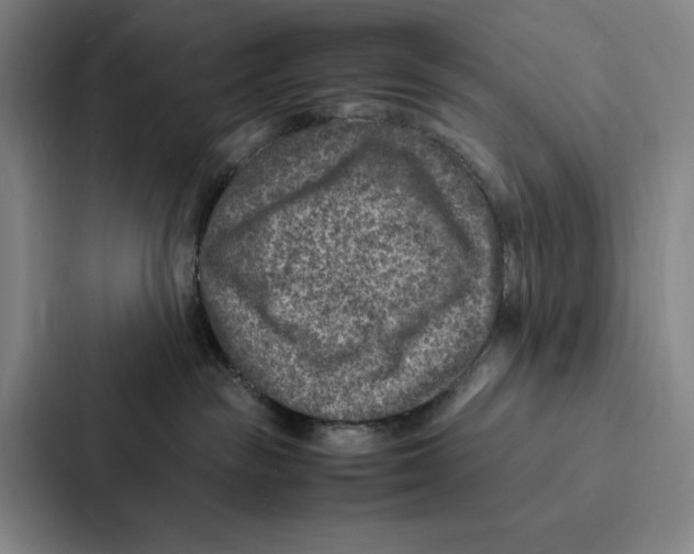 X0000086890189200705141630