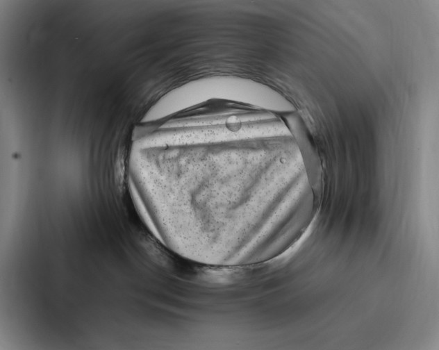 X0000086890190200705141630