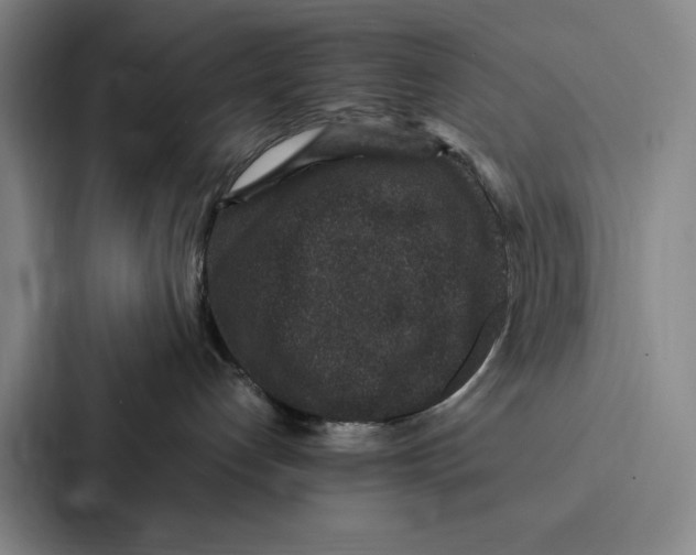 X0000086890192200705141630